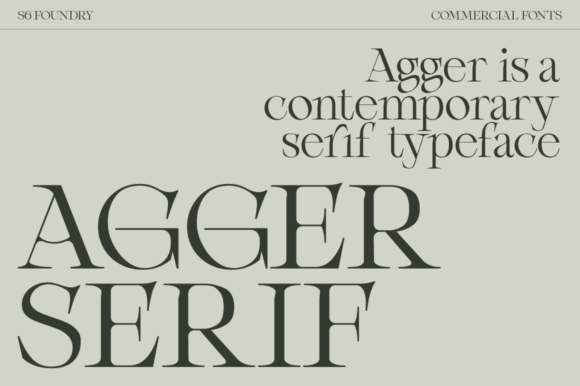 Agger: The Bold Serif Typeface That Elevates Small Business Branding
