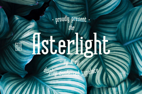 Asterlight: The Bold Serif That Elevates Every Campaign