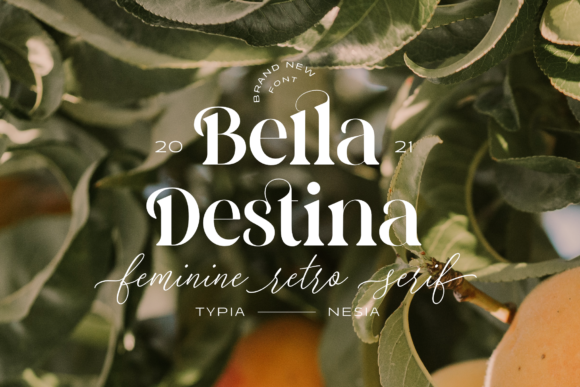 Bella Destina: A Bold Serif for Modern Web Design