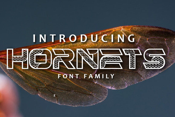 Hornets: The Bold Typeface That Transformed My Small Business Brand