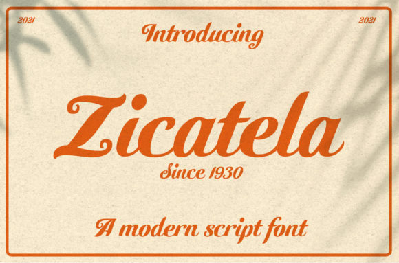 Zicatela: The Bold Handwritten Typeface for Modern Editorial Design